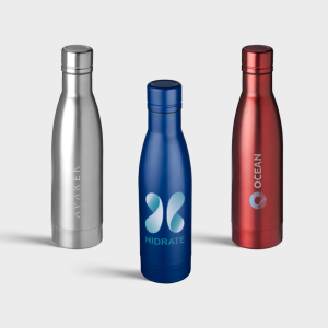 Vasa vacuÃ¼m geÃ¯soleerde fles | 500 ml