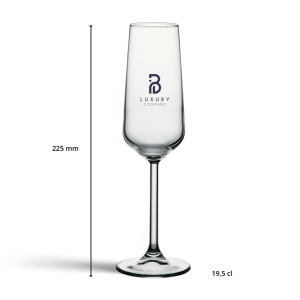 Champagne glazen 19,5 cl