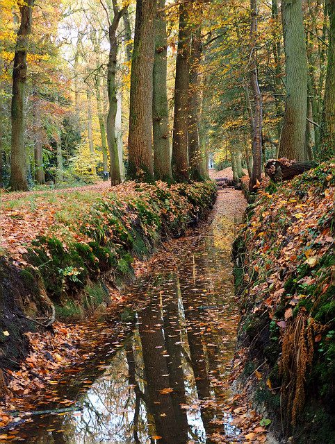 30451128274 4229130b6b z Drukkerij in